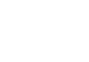 1p1 logo